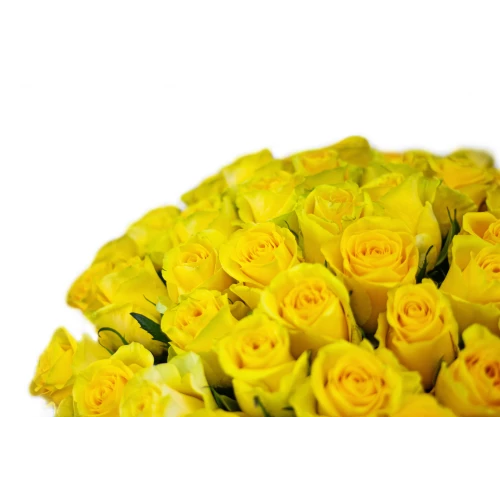 Bouquet of yellow roses